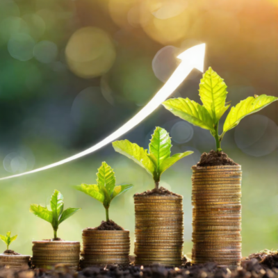 dy4e6h9hc1rmw0cvrp7tc8zmp4